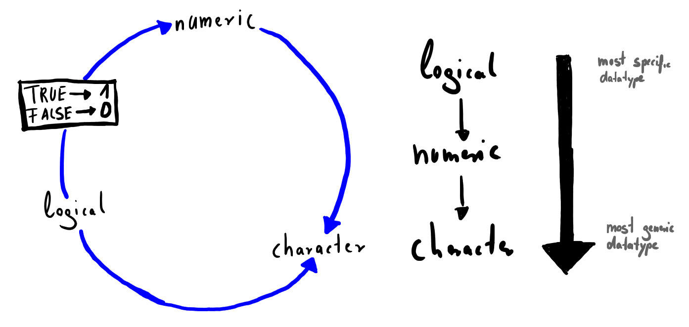Coercion Cycle and Coercion Rules